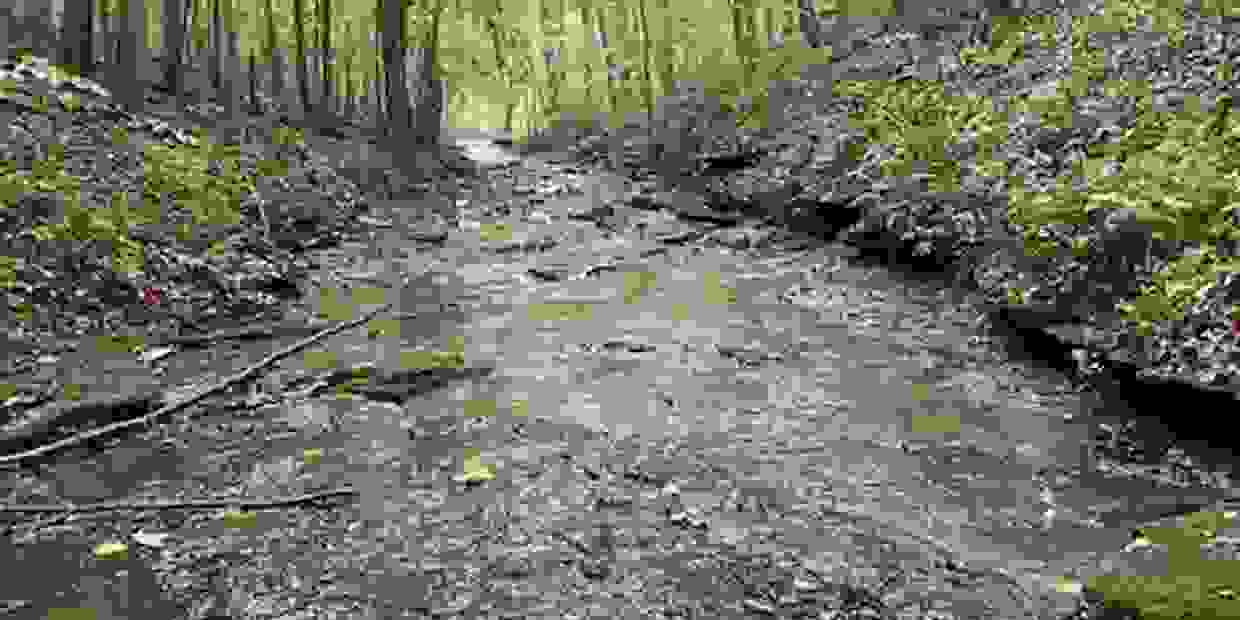 Natchez Trace Realty, LLC Real Estate, Homes for Sale